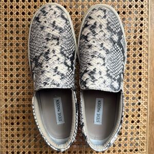 Steve Madden Gills Sneakers